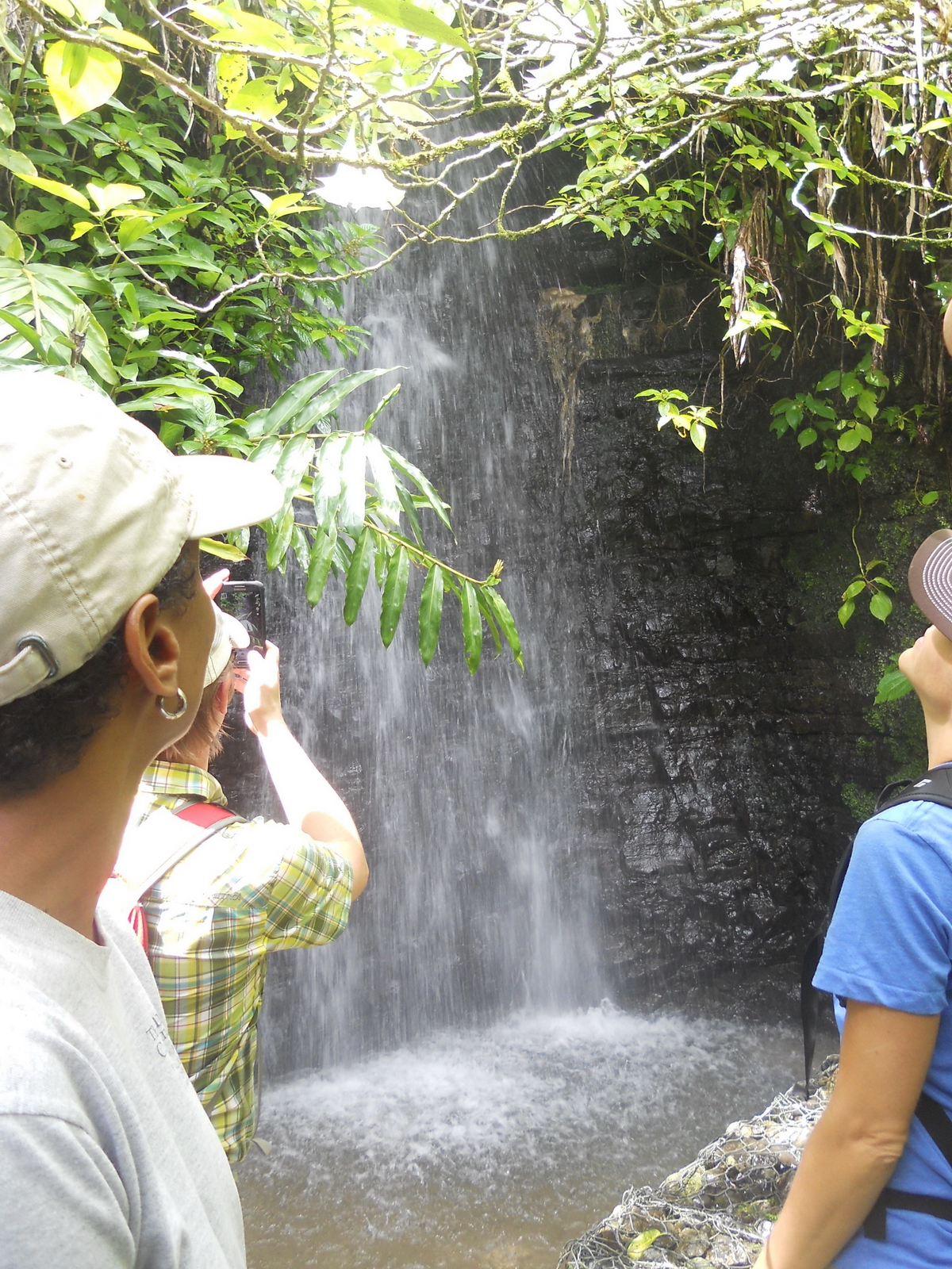 Waterfall Trail
