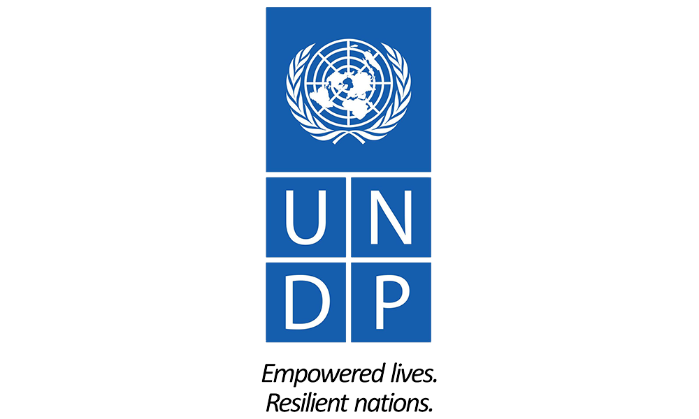 06-UNDP