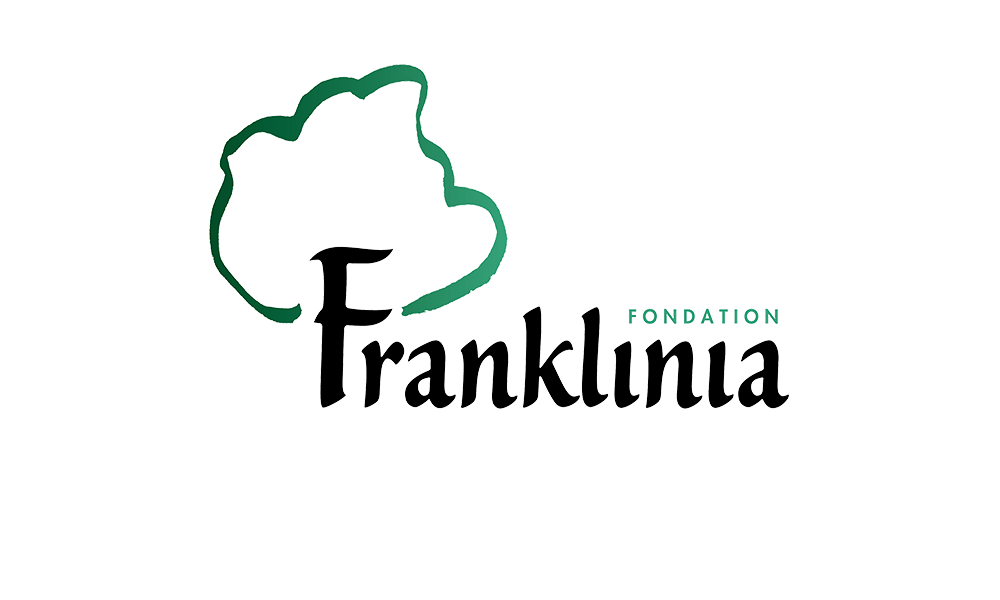 08-Franklinia